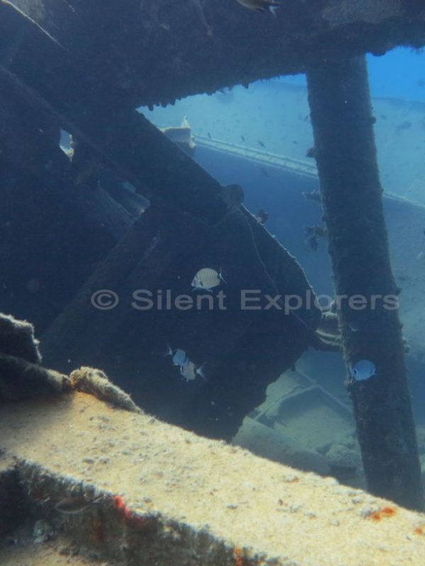 Scuba dive photos Siilent Explorers Wreck Thor Star Kos island Greece