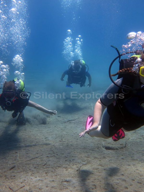 dive-photos-and-videos Silent Explorers Kos